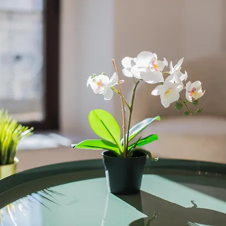 Апартаменти De Manuel By Montellano