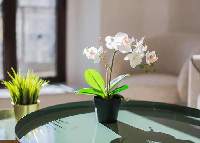 Διαμέρισμα De Manuel By Montellano